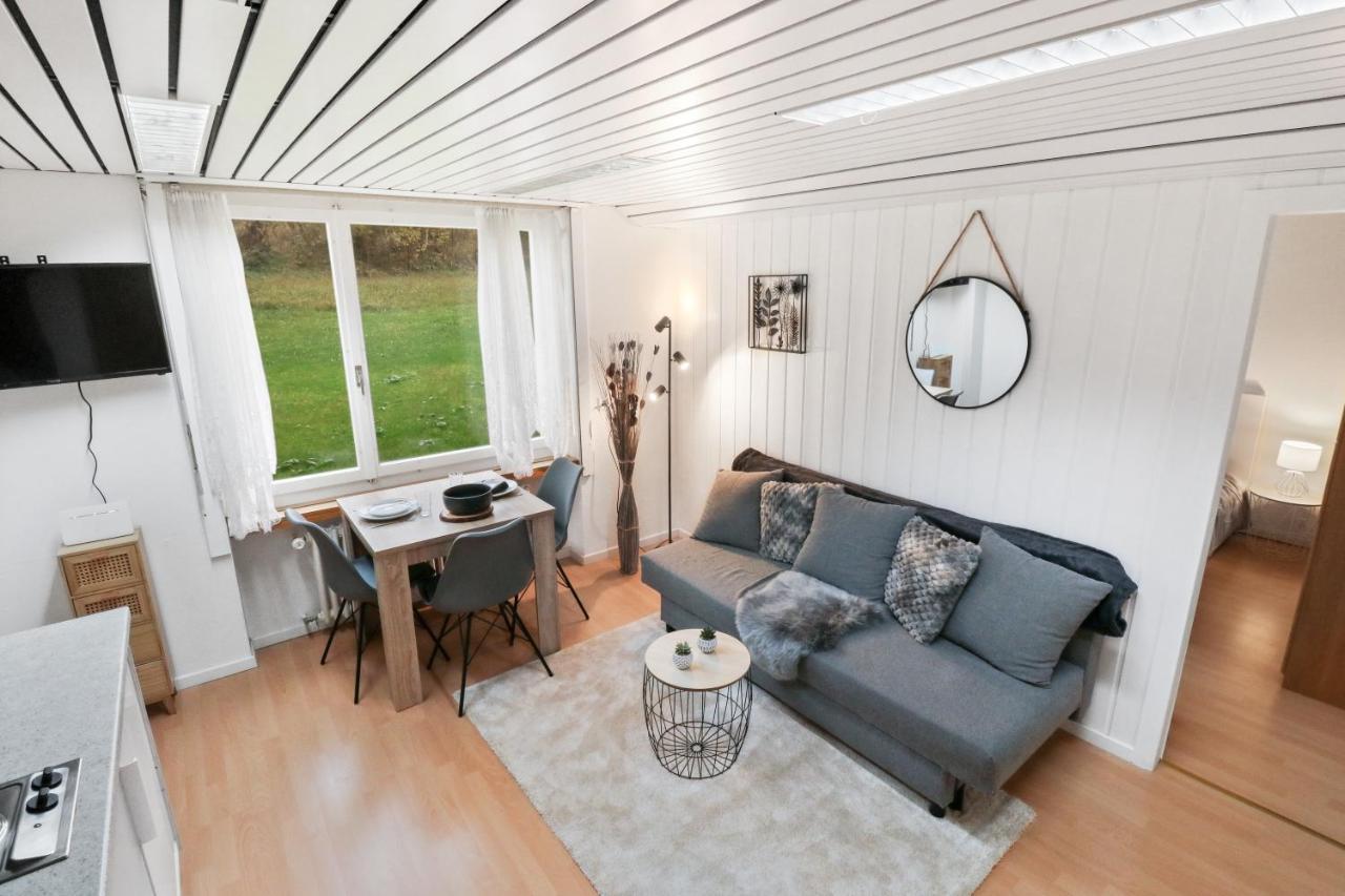 Appartement Confortable Avec Un Sauna 洛伊克巴德 外观 照片