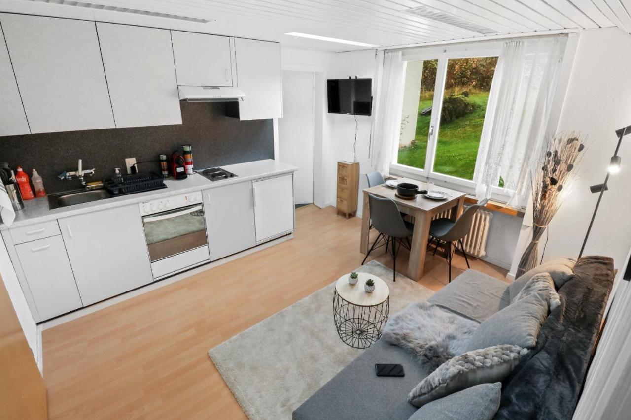 Appartement Confortable Avec Un Sauna 洛伊克巴德 外观 照片