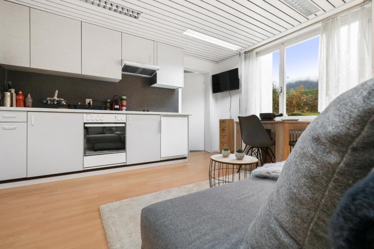 Appartement Confortable Avec Un Sauna 洛伊克巴德 外观 照片