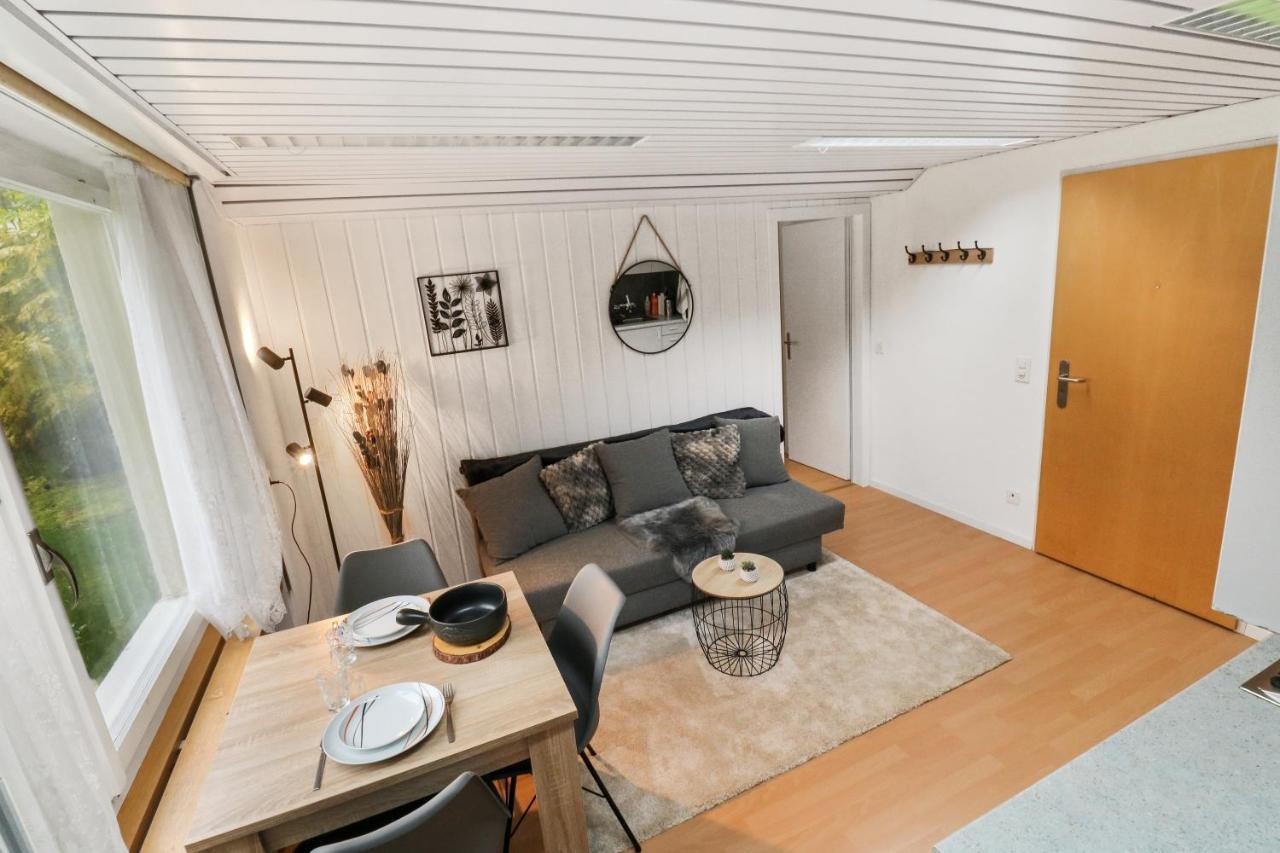 Appartement Confortable Avec Un Sauna 洛伊克巴德 外观 照片