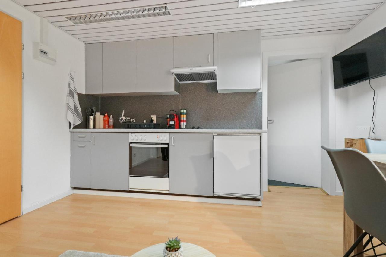 Appartement Confortable Avec Un Sauna 洛伊克巴德 外观 照片