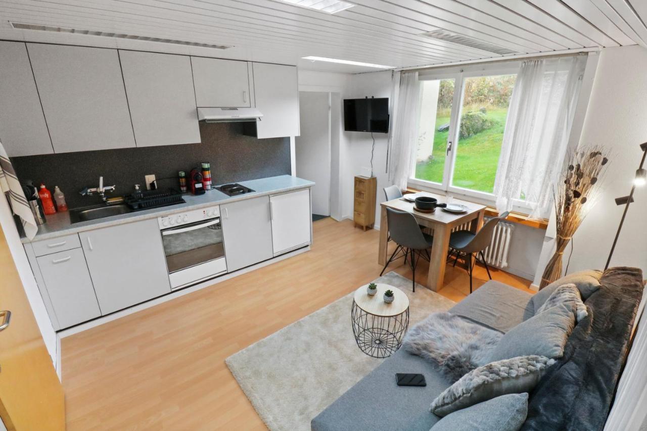 Appartement Confortable Avec Un Sauna 洛伊克巴德 外观 照片
